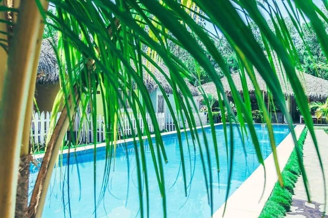 Las Dunas Surf Resort Aposentillo المظهر الخارجي الصورة